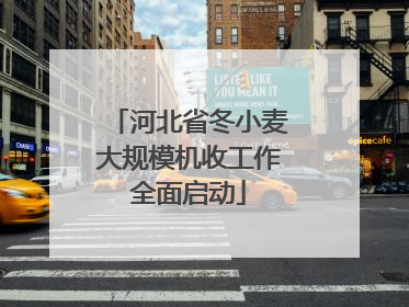 河北省冬小麦大规模机收工作全面启动