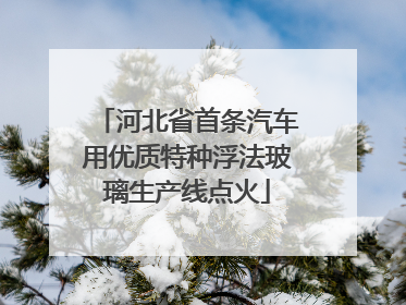 河北省首条汽车用优质特种浮法玻璃生产线点火
