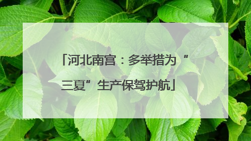 河北南宫：多举措为“三夏”生产保驾护航