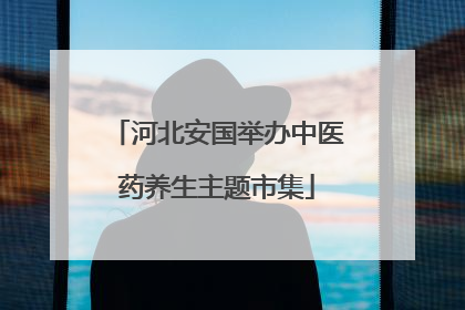 河北安国举办中医药养生主题市集