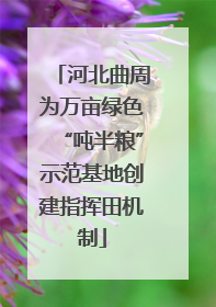 河北曲周为万亩绿色“吨半粮”示范基地创建指挥田机制