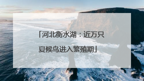 河北衡水湖：近万只夏候鸟进入繁殖期