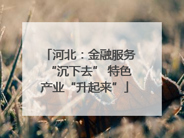 河北：金融服务“沉下去” 特色产业“升起来”