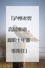 泸州老窖高层变动，履职十年董事离任