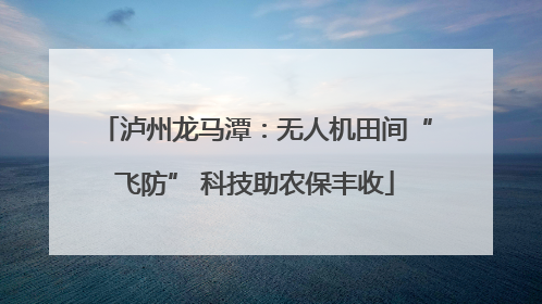 泸州龙马潭：无人机田间“飞防” 科技助农保丰收