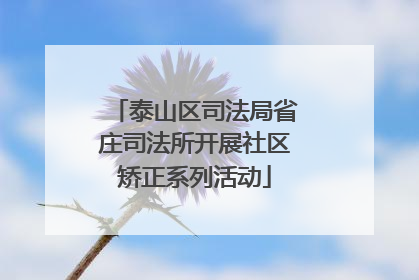 泰山区司法局省庄司法所开展社区矫正系列活动