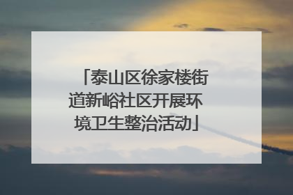泰山区徐家楼街道新峪社区开展环境卫生整治活动