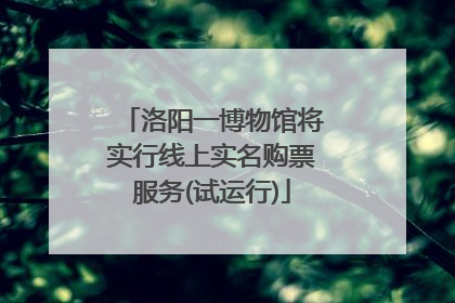 洛阳一博物馆将实行线上实名购票服务(试运行)
