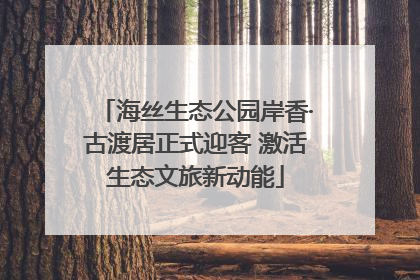 海丝生态公园岸香·古渡居正式迎客 激活生态文旅新动能