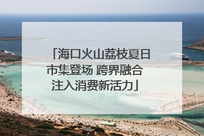 海口火山荔枝夏日市集登场 跨界融合注入消费新活力