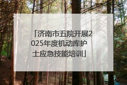 济南市五院开展2025年度机动库护士应急技能培训