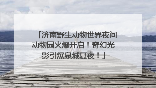 济南野生动物世界夜间动物园火爆开启！奇幻光影引爆泉城夏夜！