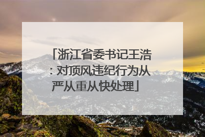 浙江省委书记王浩：对顶风违纪行为从严从重从快处理