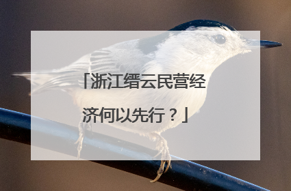 浙江缙云民营经济何以先行？