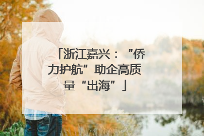 浙江嘉兴：“侨力护航”助企高质量“出海”