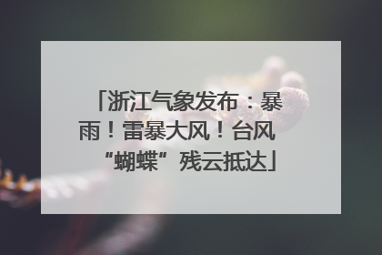 浙江气象发布：暴雨！雷暴大风！台风“蝴蝶”残云抵达