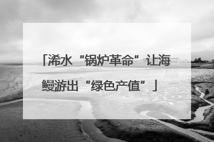 浠水“锅炉革命”让海鳗游出“绿色产值”