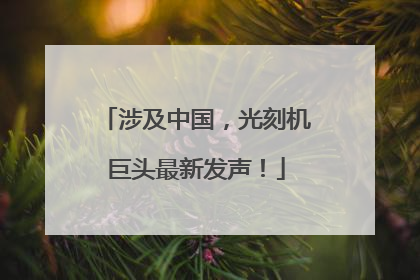 涉及中国，光刻机巨头最新发声！