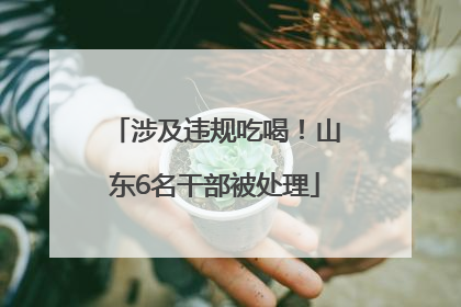 涉及违规吃喝！山东6名干部被处理