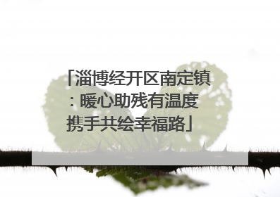 淄博经开区南定镇：暖心助残有温度 携手共绘幸福路