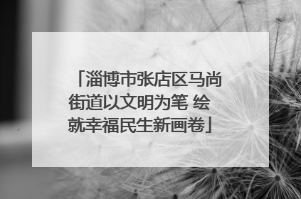 淄博市张店区马尚街道以文明为笔 绘就幸福民生新画卷