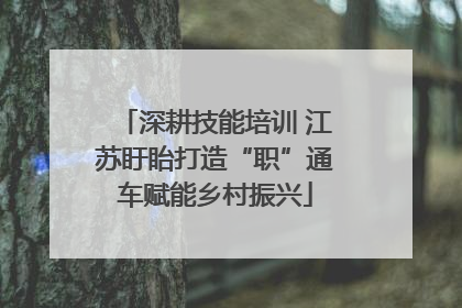 深耕技能培训 江苏盱眙打造“职”通车赋能乡村振兴