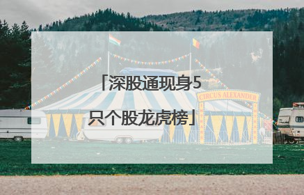 深股通现身5只个股龙虎榜
