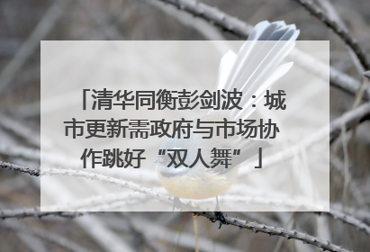 清华同衡彭剑波：城市更新需政府与市场协作跳好“双人舞”