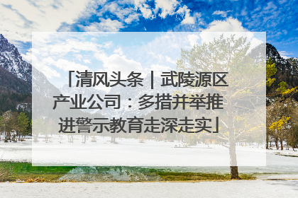 清风头条｜武陵源区产业公司：多措并举推进警示教育走深走实