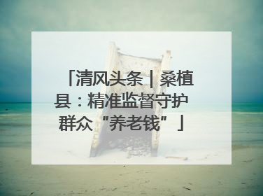 清风头条｜桑植县：精准监督守护群众“养老钱”