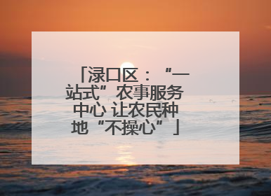 渌口区：“一站式”农事服务中心 让农民种地“不操心”