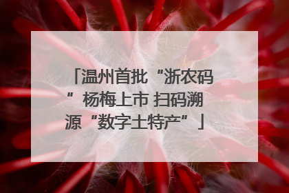 温州首批“浙农码”杨梅上市 扫码溯源“数字土特产”