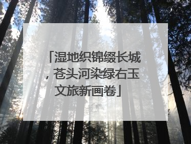 湿地织锦缀长城，苍头河染绿右玉文旅新画卷