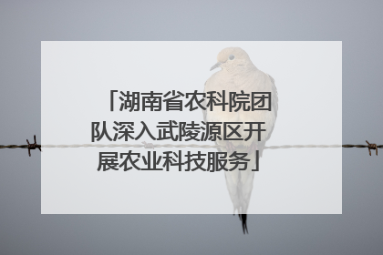 湖南省农科院团队深入武陵源区开展农业科技服务
