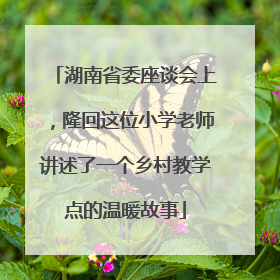 湖南省委座谈会上，隆回这位小学老师讲述了一个乡村教学点的温暖故事