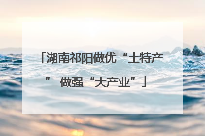 湖南祁阳做优“土特产” 做强“大产业”