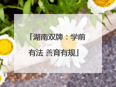湖南双牌：学前有法 善育有规