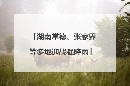 湖南常德、张家界等多地迎战强降雨