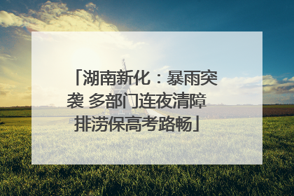 湖南新化：暴雨突袭 多部门连夜清障排涝保高考路畅