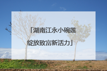 湖南江永小碗莲绽放致富新活力