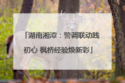 湖南湘潭：警调联动践初心 枫桥经验焕新彩
