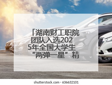 湖南财工职院团队入选2025年全国大学生“两弹一星”精神志愿宣讲团