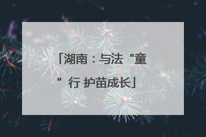 湖南：与法“童”行 护苗成长