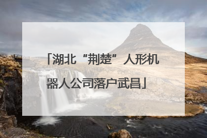 湖北“荆楚”人形机器人公司落户武昌