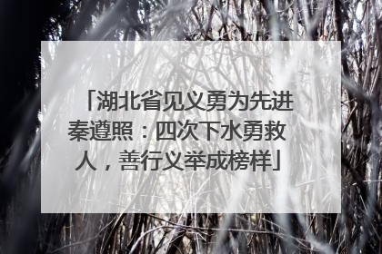 湖北省见义勇为先进秦遵照：四次下水勇救人，善行义举成榜样