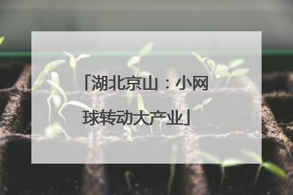 湖北京山：小网球转动大产业
