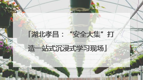 湖北孝昌：“安全大集”打造一站式沉浸式学习现场