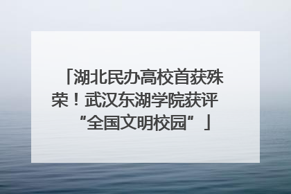 湖北民办高校首获殊荣！武汉东湖学院获评“全国文明校园”