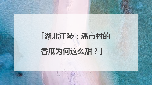 湖北江陵：潘市村的香瓜为何这么甜？