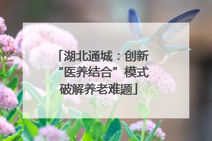 湖北通城：创新 “医养结合”模式 破解养老难题